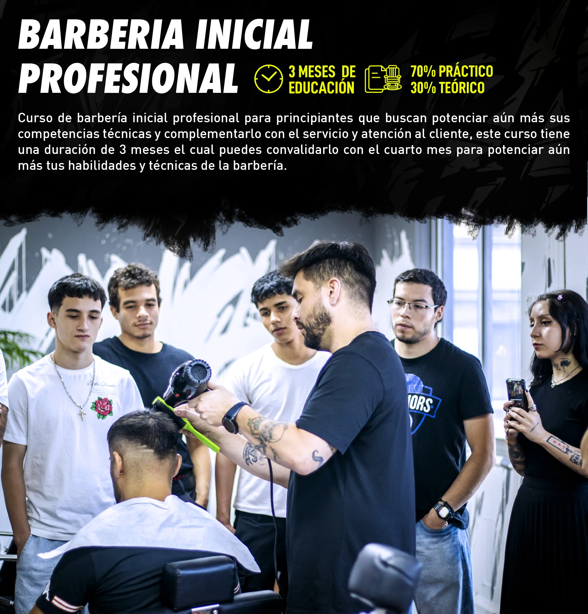 PROFESIONAL MOVIL